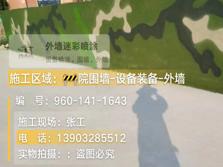 乌海 迷彩漆喷涂价格(按平方米计费)